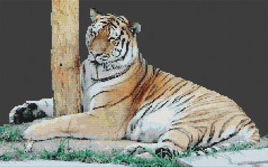 (image for) Shhh! Sleeping Tiger